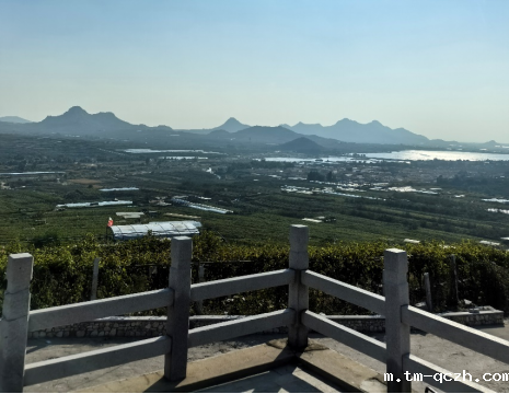 平度大泽山葡萄园引进点点taptap电子游艺土壤肥料检测仪， 轻松掌握土壤营养