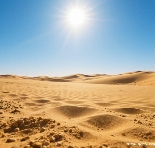 土壤碳氮比的测定仪